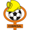 Cobresal logo
